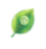 hero-shape3
